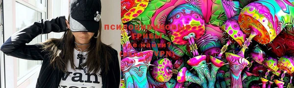 ГАЛЛЮЦИНОГЕННЫЕ ГРИБЫ Алексеевка