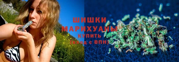прущие грибы Абинск