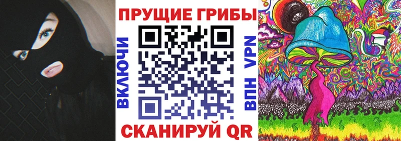 кракен tor  что такое   Заозёрный  Галлюциногенные грибы Psilocybine cubensis 